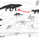 Illustration for article titled Ready For Some Croc-on-Croc Violence? Cretaceous Crocs Ate Each Other